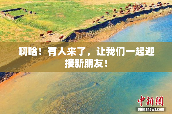 啊哈！有人来了，让我们一起迎接新朋友！