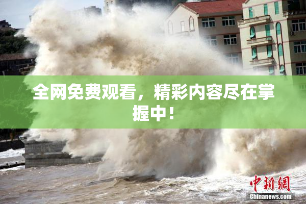 全网免费观看，精彩内容尽在掌握中！
