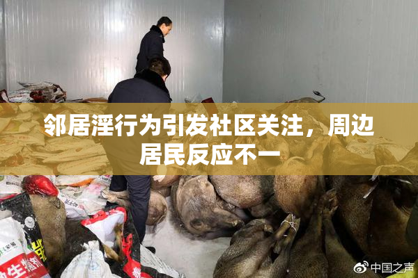 邻居淫行为引发社区关注，周边居民反应不一