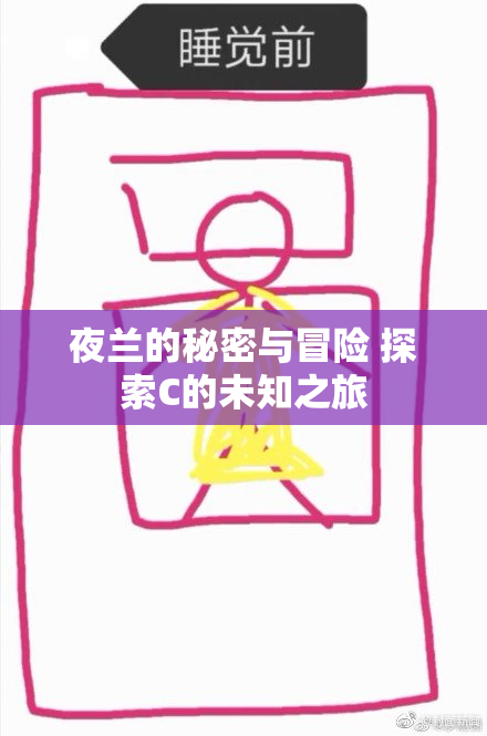 夜兰的秘密与冒险 探索C的未知之旅