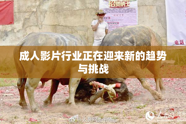 成人影片行业正在迎来新的趋势与挑战