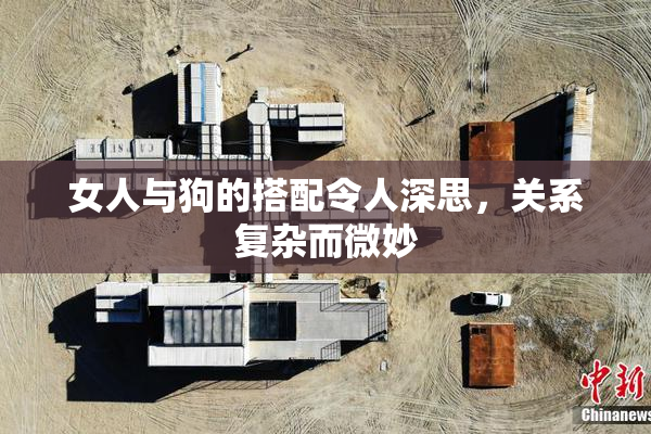 女人与狗的搭配令人深思，关系复杂而微妙