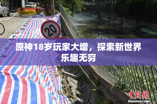 原神18岁玩家大增，探索新世界乐趣无穷