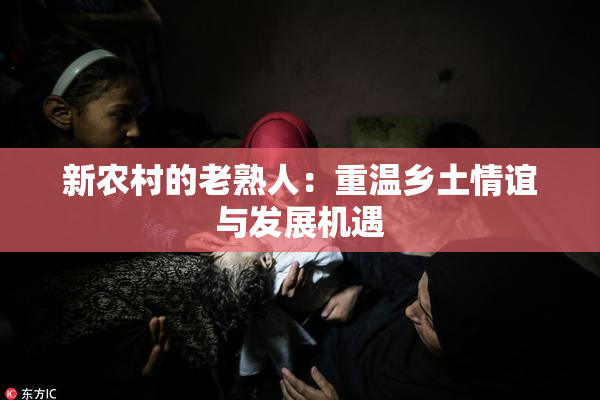 新农村的老熟人：重温乡土情谊与发展机遇
