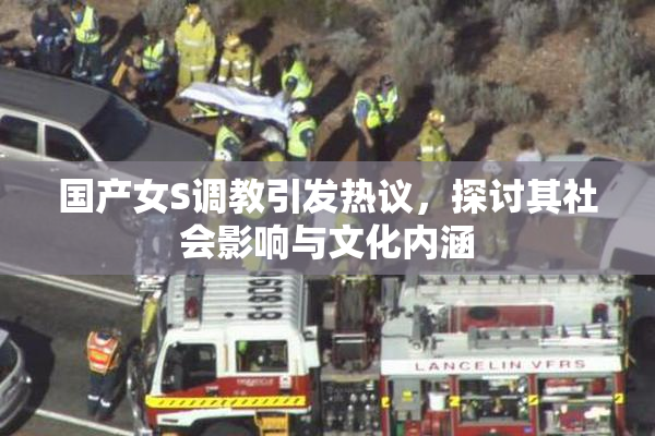 国产女S调教引发热议，探讨其社会影响与文化内涵