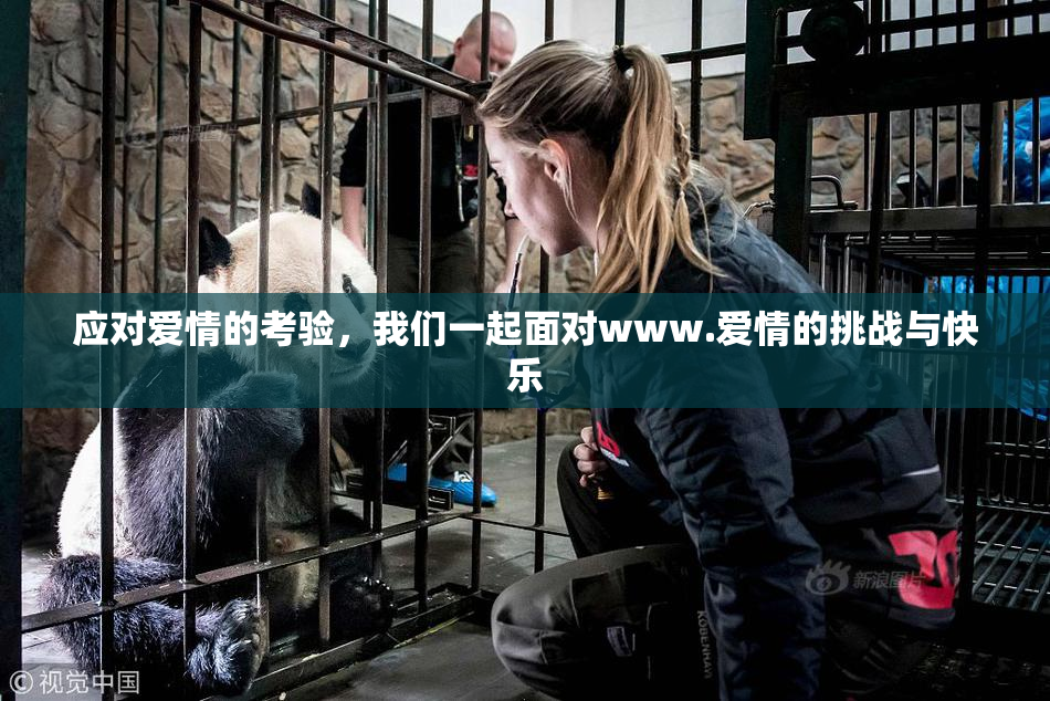 应对爱情的考验，我们一起面对www.爱情的挑战与快乐