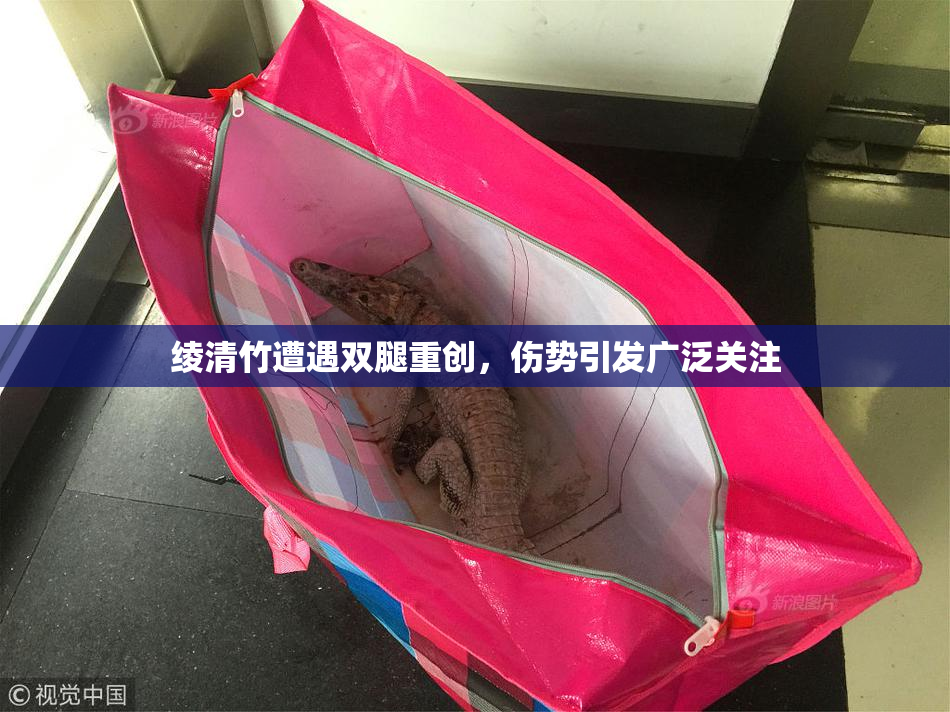 绫清竹遭遇双腿重创，伤势引发广泛关注