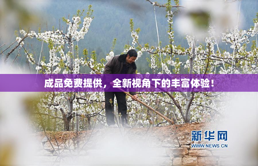 成品免费提供，全新视角下的丰富体验！