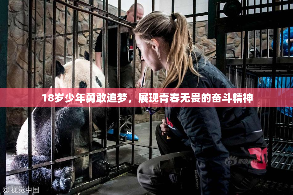 18岁少年勇敢追梦，展现青春无畏的奋斗精神