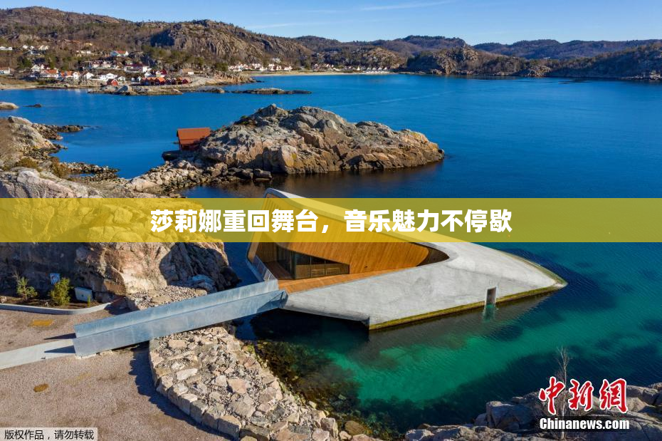 莎莉娜重回舞台，音乐魅力不停歇