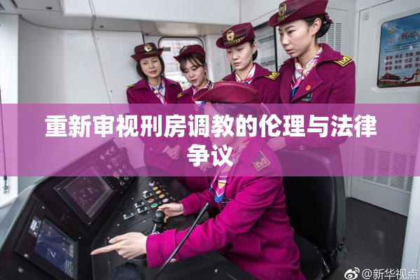 重新审视刑房调教的伦理与法律争议