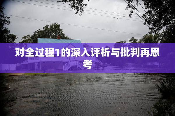 对全过程1的深入评析与批判再思考