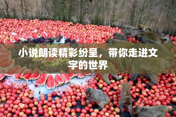 小说朗读精彩纷呈，带你走进文字的世界