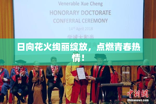 日向花火绚丽绽放，点燃青春热情！