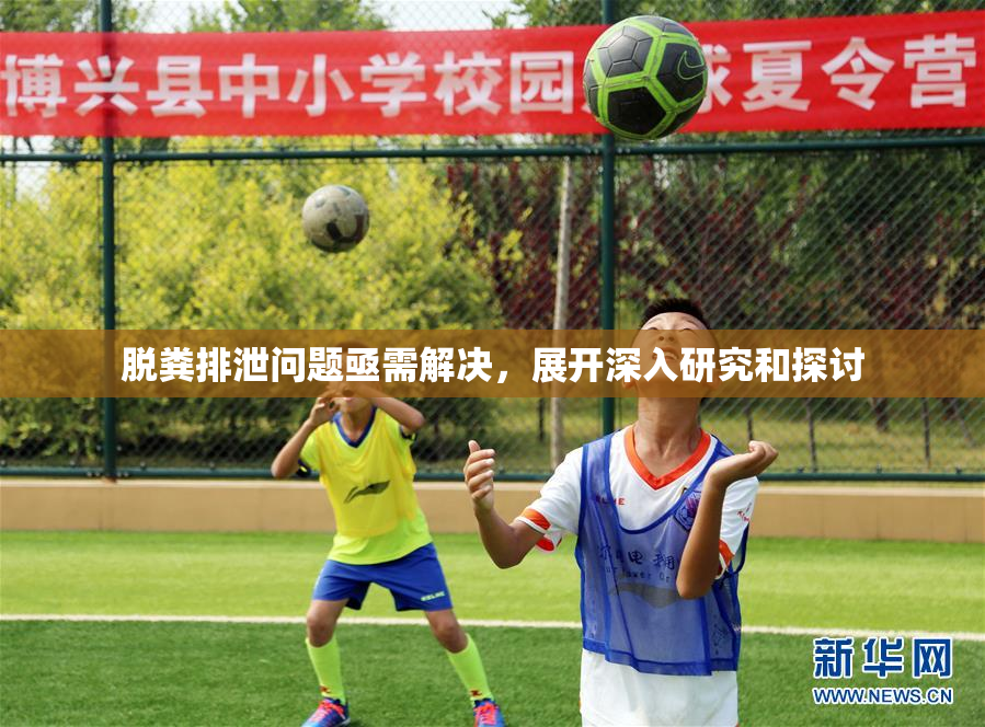 脱粪排泄问题亟需解决，展开深入研究和探讨