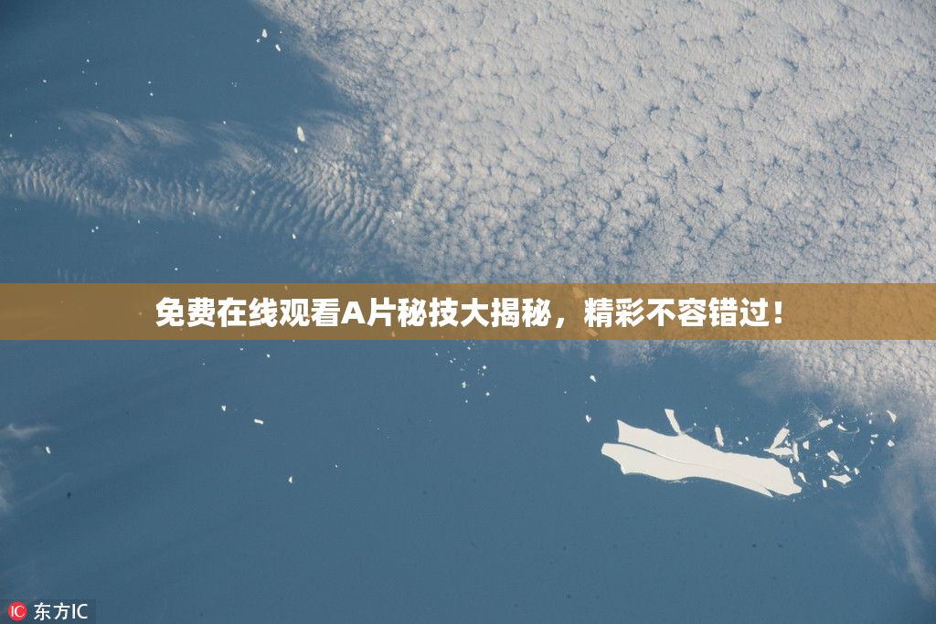 免费在线观看A片秘技大揭秘，精彩不容错过！