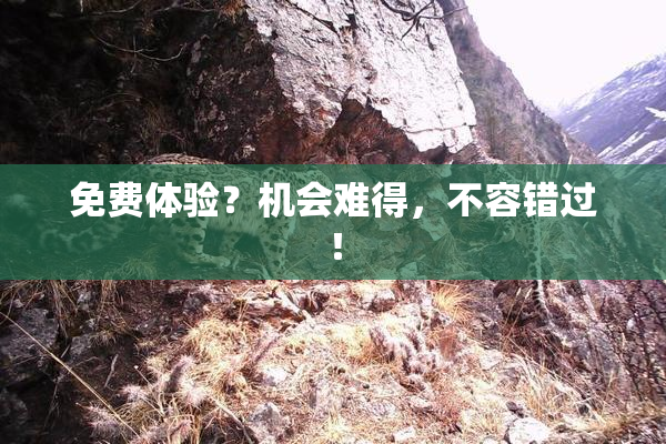 免费体验？机会难得，不容错过！