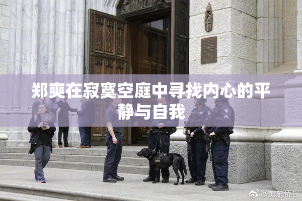 郑爽在寂寞空庭中寻找内心的平静与自我