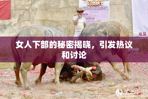 女人下部的秘密揭晓，引发热议和讨论