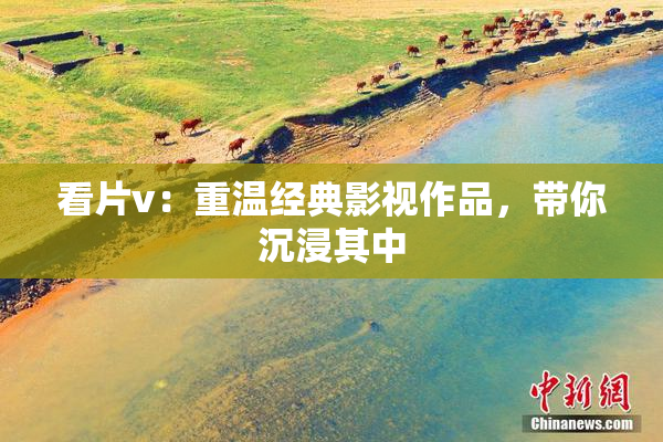 看片v：重温经典影视作品，带你沉浸其中