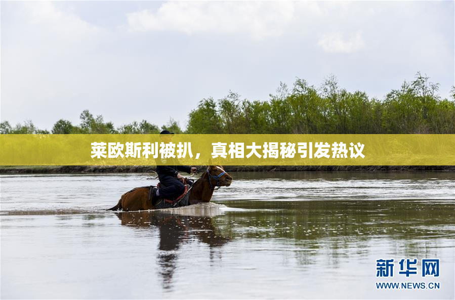 莱欧斯利被扒，真相大揭秘引发热议