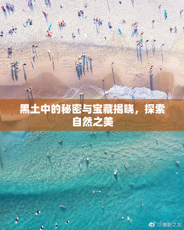 黑土中的秘密与宝藏揭晓，探索自然之美