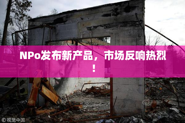 ΝPo发布新产品，市场反响热烈！
