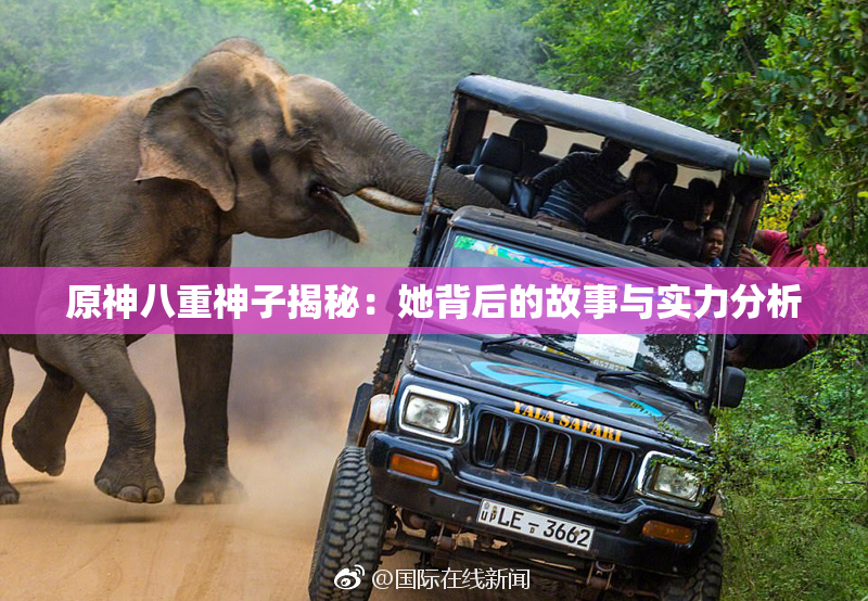 原神八重神子揭秘：她背后的故事与实力分析