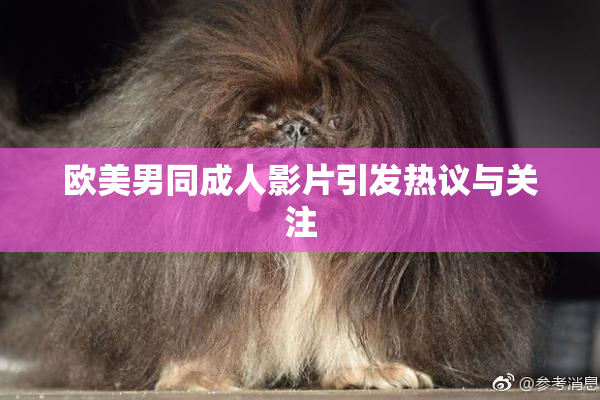 欧美男同成人影片引发热议与关注