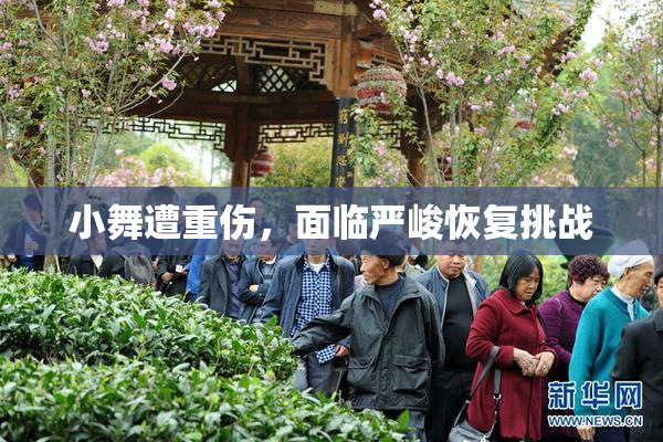 小舞遭重伤，面临严峻恢复挑战