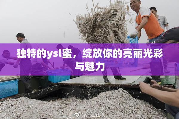 独特的ysl蜜，绽放你的亮丽光彩与魅力