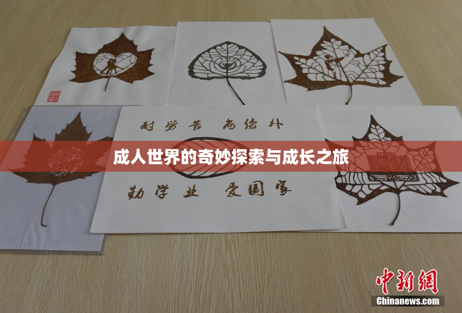 成人世界的奇妙探索与成长之旅