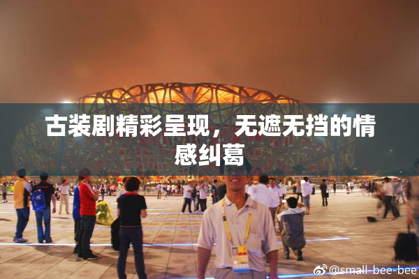 古装剧精彩呈现，无遮无挡的情感纠葛
