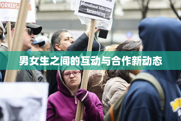 男女生之间的互动与合作新动态