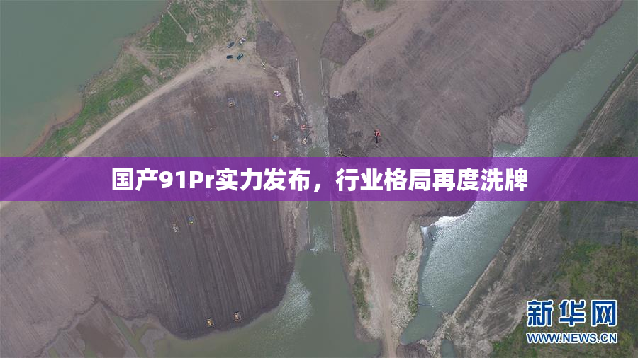 国产91Pr实力发布，行业格局再度洗牌