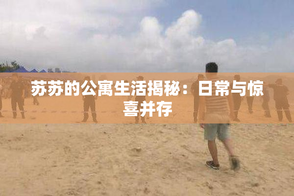 苏苏的公寓生活揭秘：日常与惊喜并存