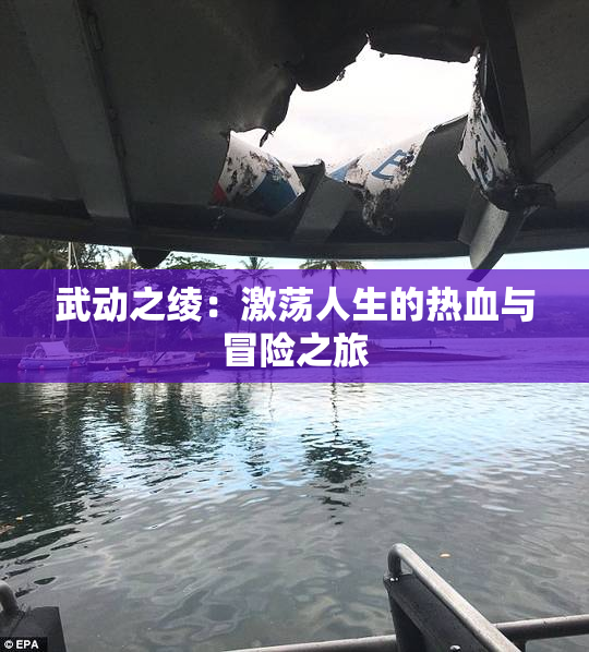 武动之绫：激荡人生的热血与冒险之旅