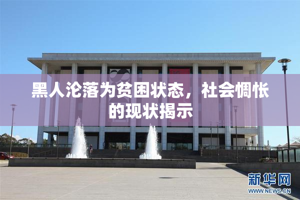 黑人沦落为贫困状态，社会惆怅的现状揭示