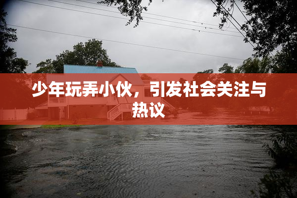 少年玩弄小伙，引发社会关注与热议