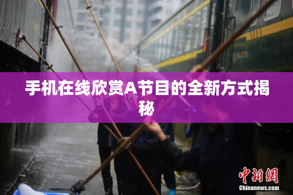 手机在线欣赏A节目的全新方式揭秘