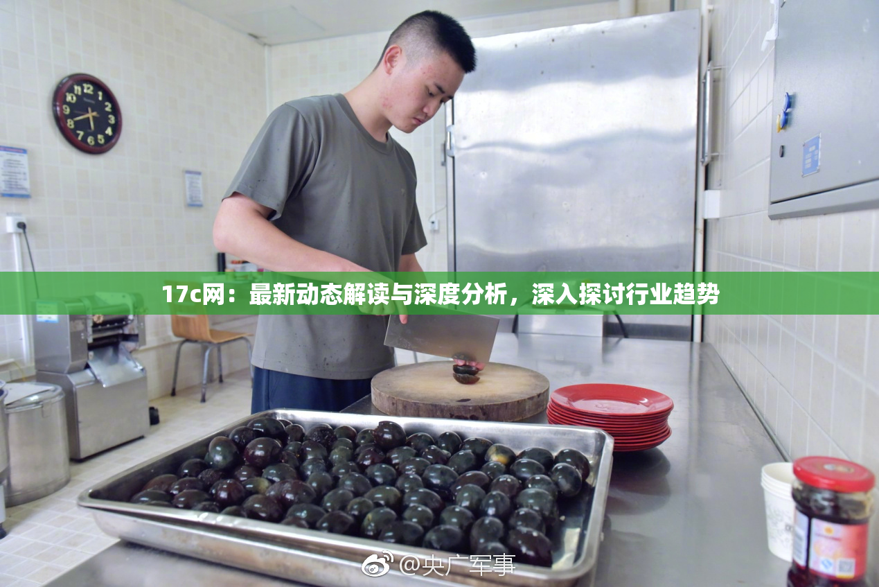 17c网：最新动态解读与深度分析，深入探讨行业趋势