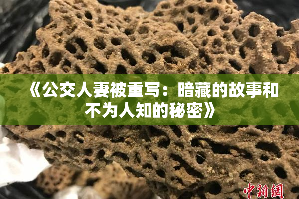 《公交人妻被重写：暗藏的故事和不为人知的秘密》