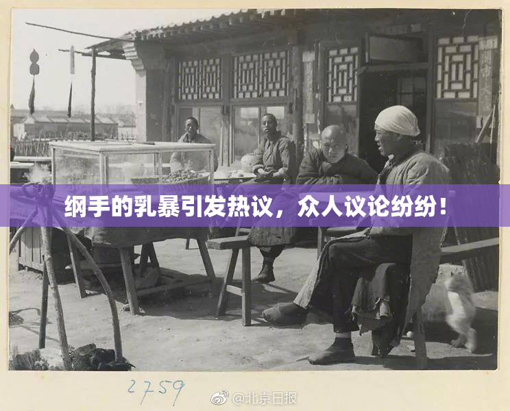 纲手的乳暴引发热议，众人议论纷纷！