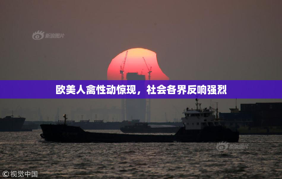 欧美人禽性动惊现，社会各界反响强烈