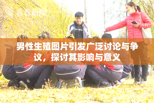 男性生殖图片引发广泛讨论与争议，探讨其影响与意义