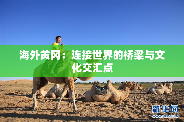 海外黄冈：连接世界的桥梁与文化交汇点