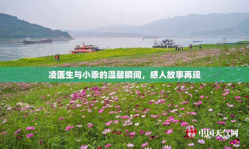 凌医生与小乖的温馨瞬间，感人故事再现