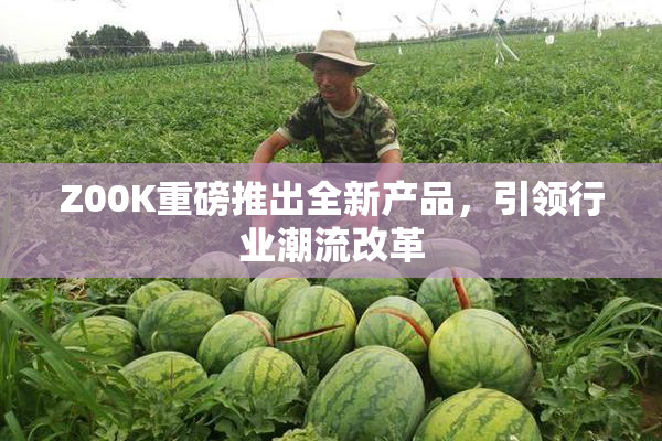Z00K重磅推出全新产品，引领行业潮流改革