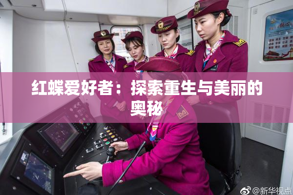 红蝶爱好者：探索重生与美丽的奥秘