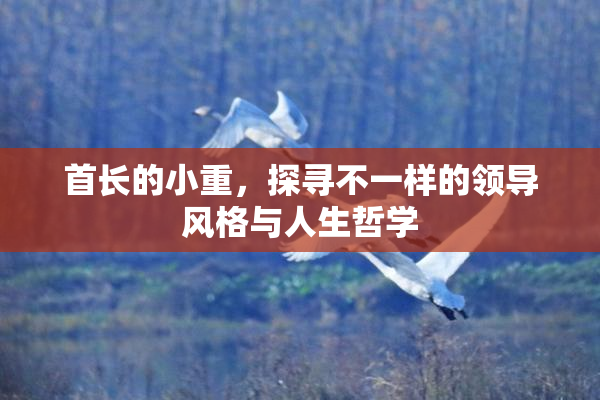首长的小重，探寻不一样的领导风格与人生哲学